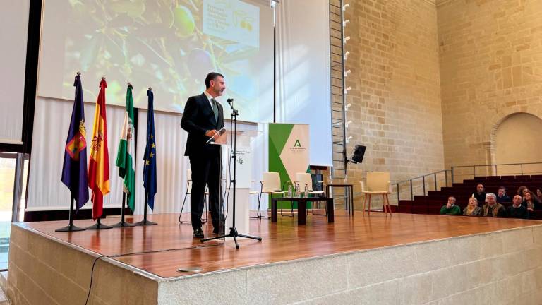 El futuro del sector del olivar comienza a rodar El futuro del sector del olivar comienza a rodar