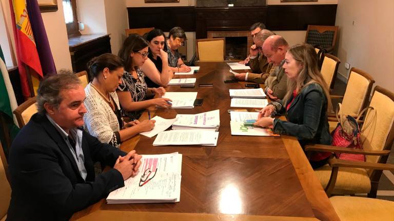 La nulidad, o no, del contrato a Castillo se decide en pleno La nulidad, o no, del contrato a Castillo se decide en pleno