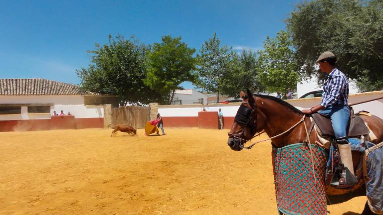 Comprar bravura por ser torero en una plaza y con picadores