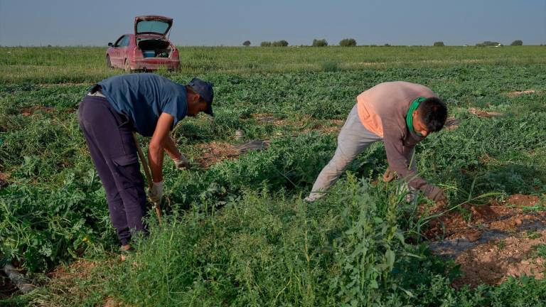 La CHG intensificará el control de consumo de agua por la sequía permanente La CHG intensificará el control de consumo de agua por la sequía permanente