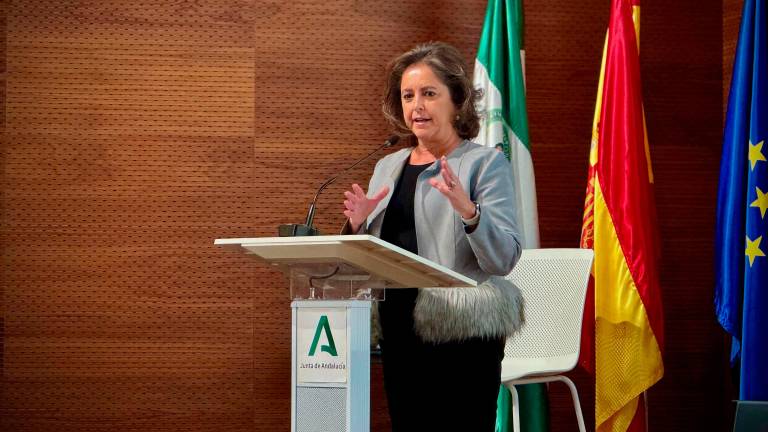 Ley de Gestión Ambiental para aliviar a los Ayuntamiento Ley de Gestión Ambiental para aliviar a los Ayuntamiento