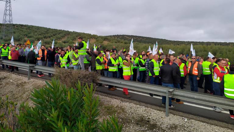 La histórica movilización de los aceituneros de Jaén en 2020 La histórica movilización de los aceituneros de Jaén en 2020