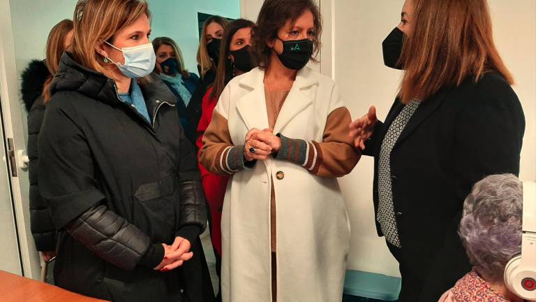 La Junta desarrolla en Plan Andaluz de Alzheimer para garantizar la continuidad asistencial La Junta desarrolla en Plan Andaluz de Alzheimer para garantizar la continuidad asistencial