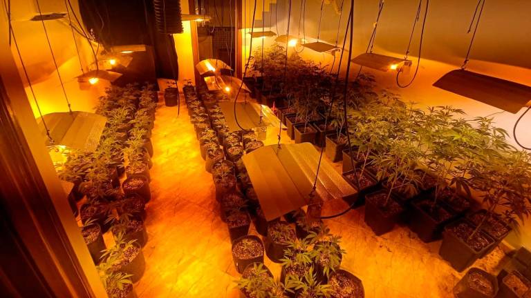 Golpe al tráfico de droga en Linares con seis detenidos Golpe al tráfico de droga en Linares con seis detenidos