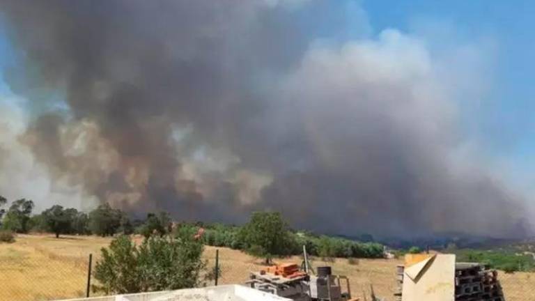 Controlado el incendio forestal declarado en Estepona