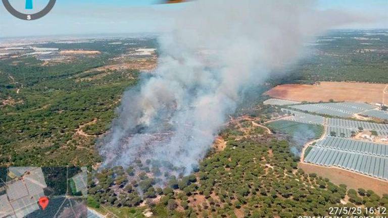 Segundo incendio forestal que se activa en Moguer en menos de 24 horas Segundo incendio forestal que se activa en Moguer en menos de 24 horas