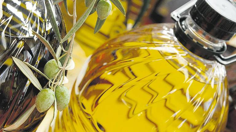 La IGP “Aceite de Jaén”, un gran reto para la oleicultura provincial La IGP “Aceite de Jaén”, un gran reto para la oleicultura provincial