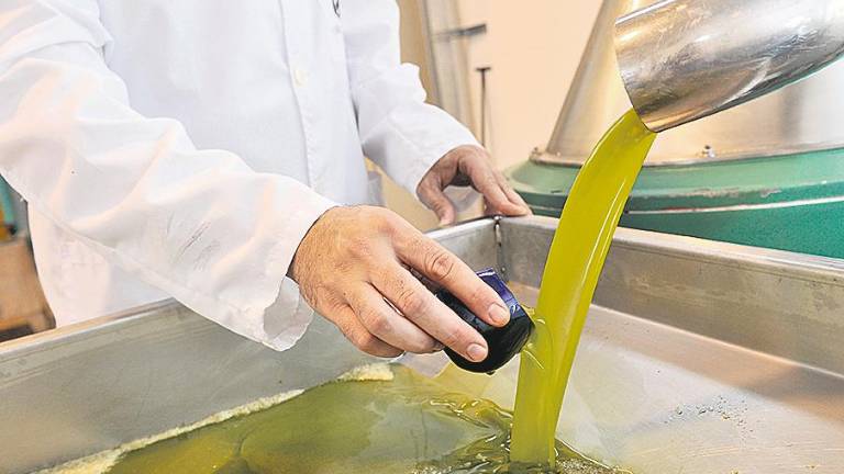 Se confirma la cosecha de aceite más alta de la historia Se confirma la cosecha de aceite más alta de la historia