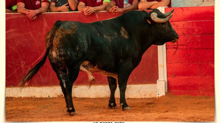 Génave rezuma tradición taurina Génave rezuma tradición taurina