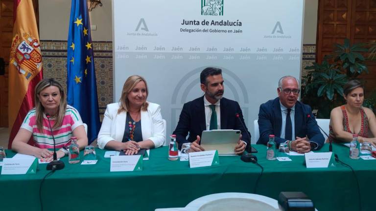 Fernández-Pacheco llama a la calma a tres meses de la campaña: “El sector del aceite de oliva goza de buena salud” Fernández-Pacheco llama a la calma a tres meses de la campaña: “El sector del aceite de oliva goza de buena salud”