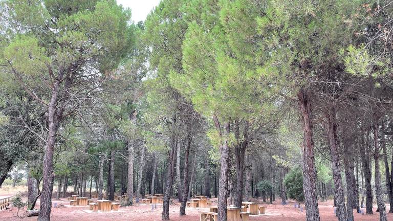 Un pueblo destinado al disfrute de la calma y el entorno natural, Miranda del Rey Un pueblo destinado al disfrute de la calma y el entorno natural, Miranda del Rey