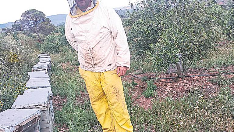 La primavera trae una gran esperanza para los apicultores La primavera trae una gran esperanza para los apicultores