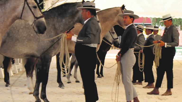 Días de celebración y frenesí Días de celebración y frenesí