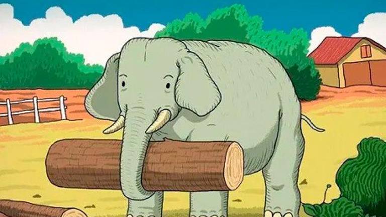¿Puedes ver al elefante? ¿Y al segundo animal? ¿Puedes ver al elefante? ¿Y al segundo animal?