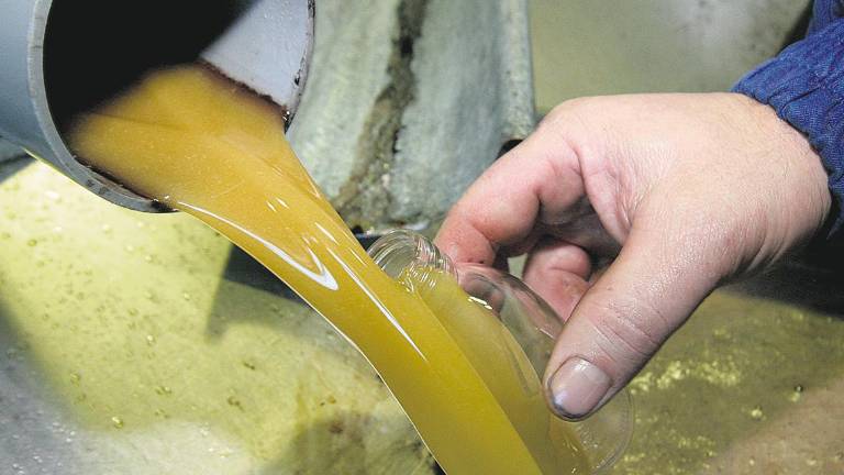 Seis euros por tonelada de aceite hasta 2024 Seis euros por tonelada de aceite hasta 2024