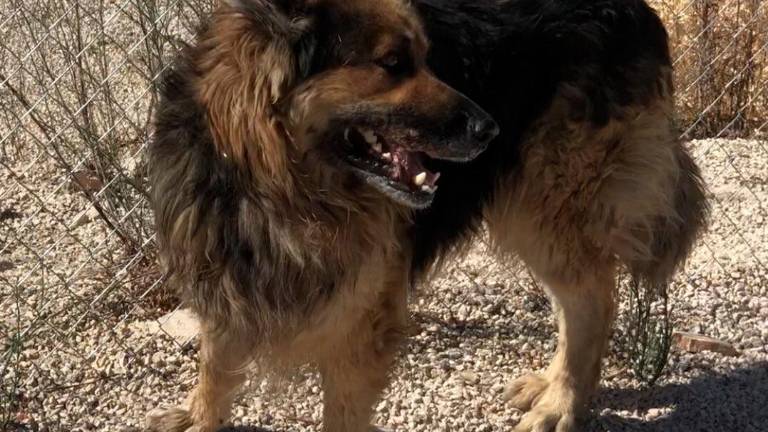 “Huella de Jaén” denuncia otro caso de abandono en la Sierra Sur “Huella de Jaén” denuncia otro caso de abandono en la Sierra Sur