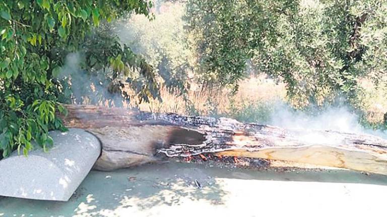 Arde el hacha ubicada enla Vía Verde Arde el hacha ubicada enla Vía Verde