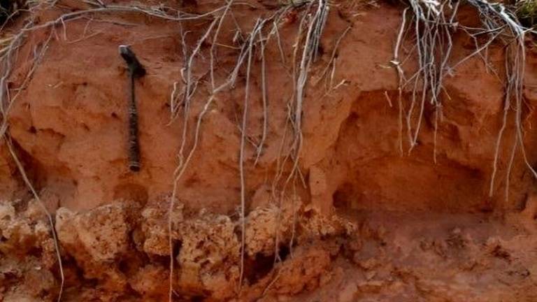 Los termiteros más antiguos del mundo están en Sudáfrica Los termiteros más antiguos del mundo están en Sudáfrica