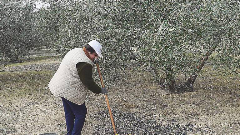 En familia y con la vieja criba, que no hay cosecha En familia y con la vieja criba, que no hay cosecha