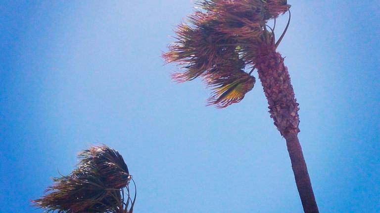 Avisos naranjas este viernes por viento en Jaén y Granada Avisos naranjas este viernes por viento en Jaén y Granada