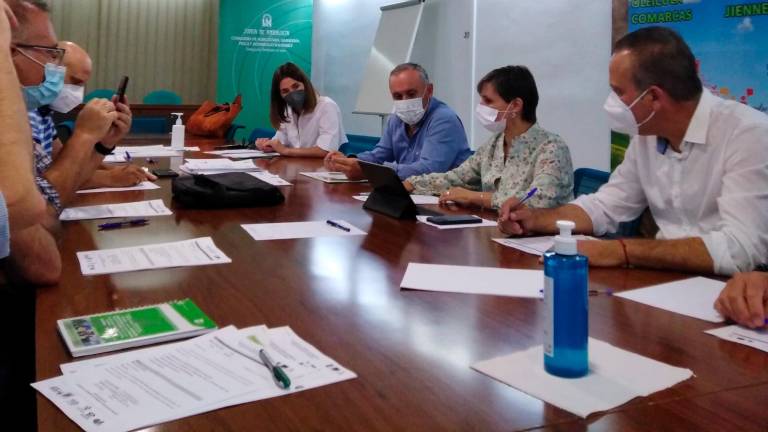 La Junta impulsa el oleoturismo para hacer más sostenible el olivar en las comarcas jiennenses La Junta impulsa el oleoturismo para hacer más sostenible el olivar en las comarcas jiennenses