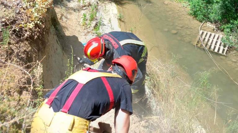 Rescate en una zona de naturaleza de Los Villares Rescate en una zona de naturaleza de Los Villares