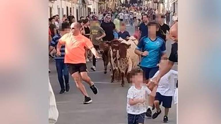 Pacma estudia acciones legales contra el Ayuntamiento de Castellar por autorizar un encierro infantil Pacma estudia acciones legales contra el Ayuntamiento de Castellar por autorizar un encierro infantil