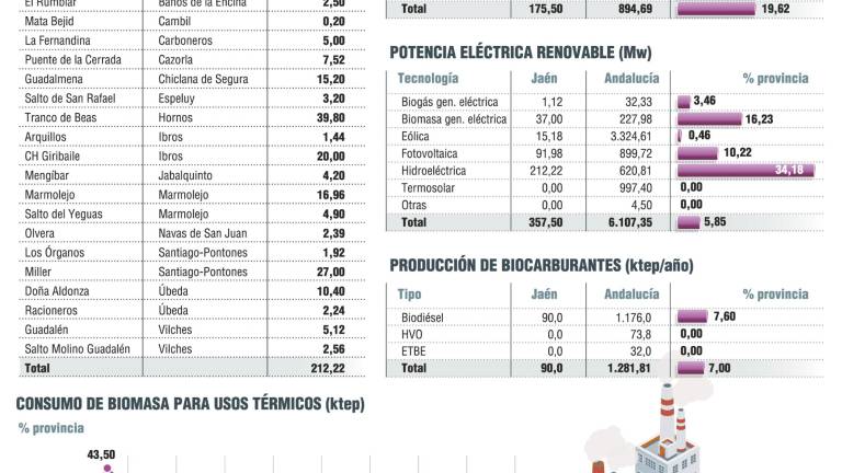 Jaén podría abastecer el 20,6% andaluz de energía con biomasa Jaén podría abastecer el 20,6% andaluz de energía con biomasa