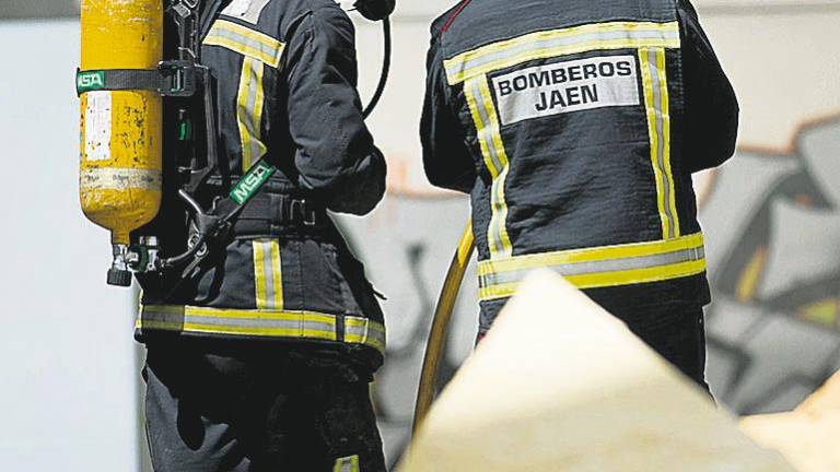 150 agentes y 3 escuadras para velar por San Antón 150 agentes y 3 escuadras para velar por San Antón
