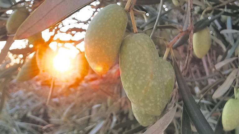 El otoño que nos deja San Lucas El otoño que nos deja San Lucas