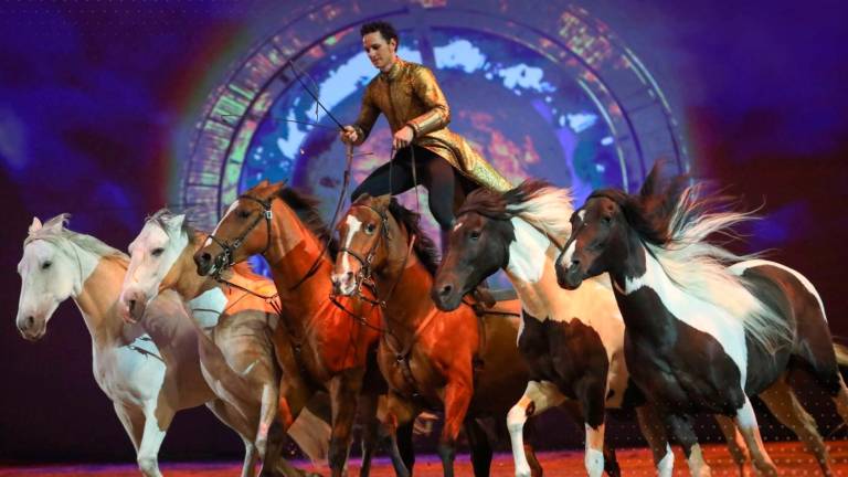 Paco Martos llega a San Lucas con un ‘horse show’ nunca antes visto Paco Martos llega a San Lucas con un ‘horse show’ nunca antes visto