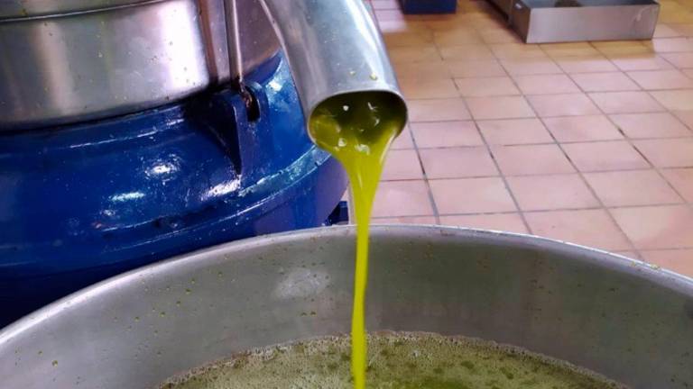 El aceite de oliva “tira del carro” de las exportaciones El aceite de oliva “tira del carro” de las exportaciones