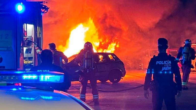 Incendio de varios contenedores en la Avenida de Arjona, en Jaén Incendio de varios contenedores en la Avenida de Arjona, en Jaén