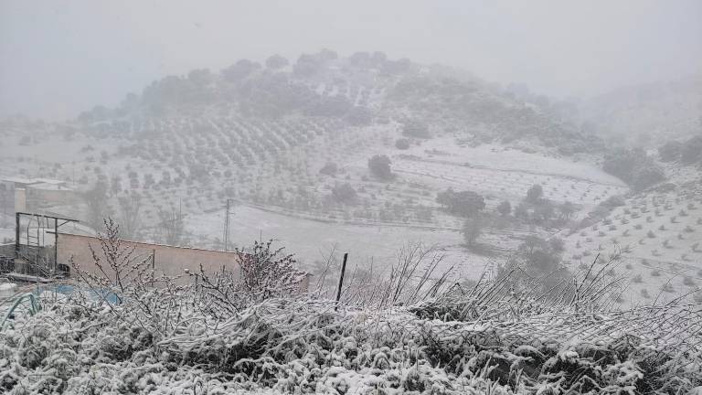 Por Noalejo, nieve entre Navalcán y la Sierra del Trigo Por Noalejo, nieve entre Navalcán y la Sierra del Trigo