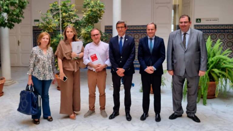 Lopera dice “basta” en Sevilla a las megaplantas fotovoltaicas Lopera dice “basta” en Sevilla a las megaplantas fotovoltaicas