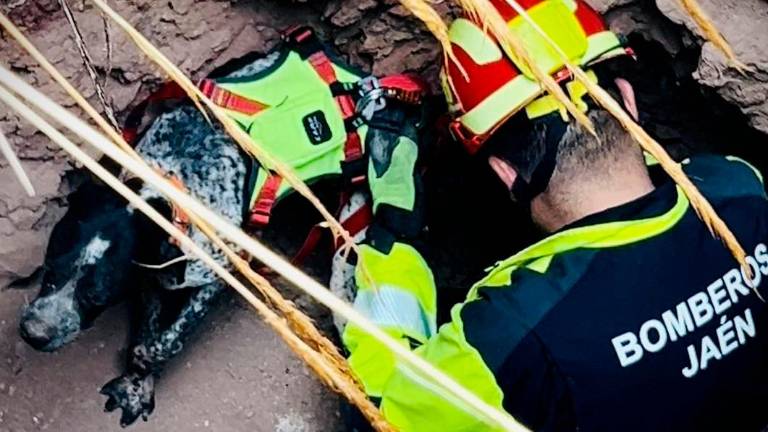 Rescatan a un perro atrapado en un pozo en Mancha Real Rescatan a un perro atrapado en un pozo en Mancha Real