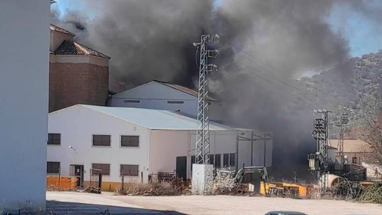 Aparatoso fuego en la cooperativa “Oleícola Valdepeñas” Aparatoso fuego en la cooperativa “Oleícola Valdepeñas”