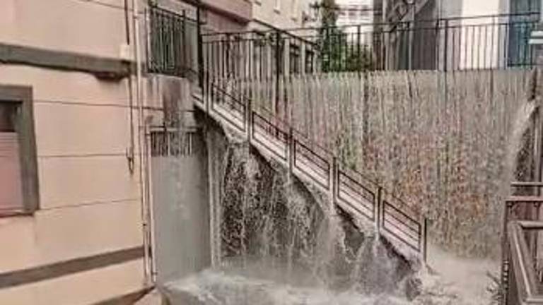 La DANA deja daños en el campo a su paso por la provincia La DANA deja daños en el campo a su paso por la provincia