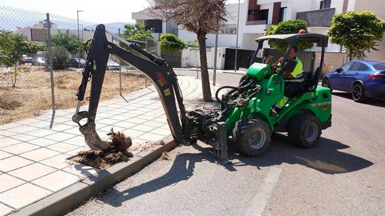 Retirada de tocones en barrios de Jaén para reponer el arbolado Retirada de tocones en barrios de Jaén para reponer el arbolado