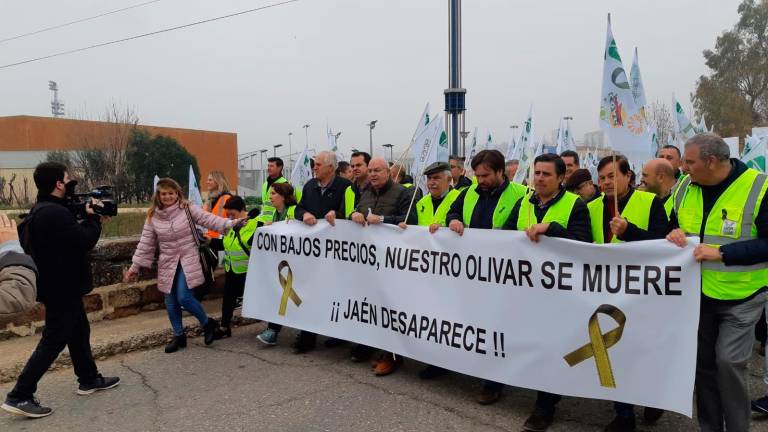 La histórica movilización de los aceituneros de Jaén en 2020 La histórica movilización de los aceituneros de Jaén en 2020
