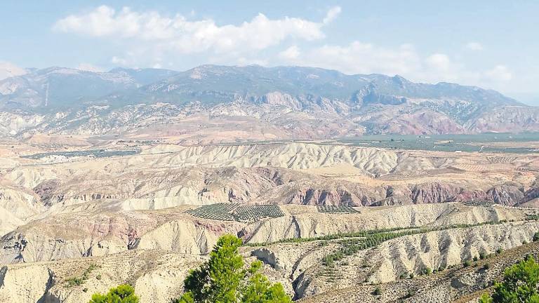 El reto de ver los cambios en el olivar El reto de ver los cambios en el olivar