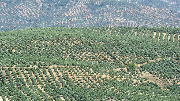 Estudio para ver la respuesta de plantas al estrés Estudio para ver la respuesta de plantas al estrés
