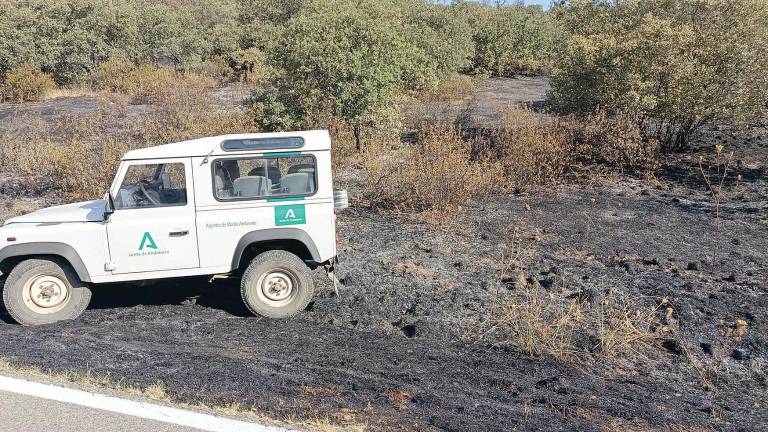 Investigan si el fuego de La Carolina fue intencionado Investigan si el fuego de La Carolina fue intencionado