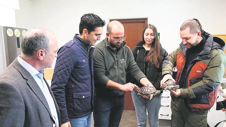Dos tortugas ucranianas encuentran su refugio en Jaén Dos tortugas ucranianas encuentran su refugio en Jaén