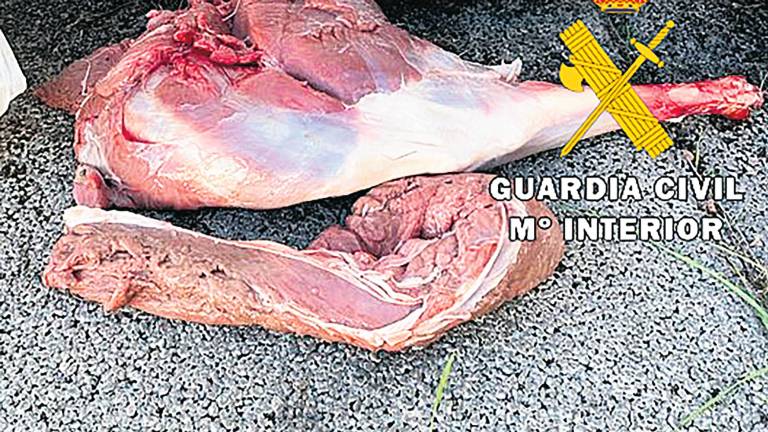La Guardia Civil intercepta un vehículo con carne de caza furtiva La Guardia Civil intercepta un vehículo con carne de caza furtiva