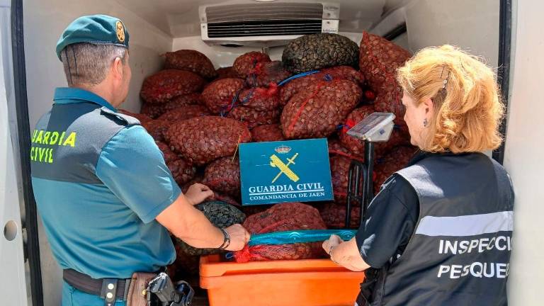 Intervenidas en Marmolejo tonelada y media de almejas no aptas para el consumo Intervenidas en Marmolejo tonelada y media de almejas no aptas para el consumo