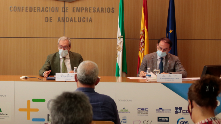 Más del 61% de las empresas andaluzas se han acogido a las medidas de apoyo público Más del 61% de las empresas andaluzas se han acogido a las medidas de apoyo público