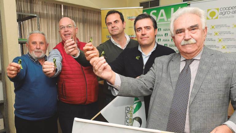 Ahora sí, Jaén se levanta brava para defender su principal tesoro Ahora sí, Jaén se levanta brava para defender su principal tesoro