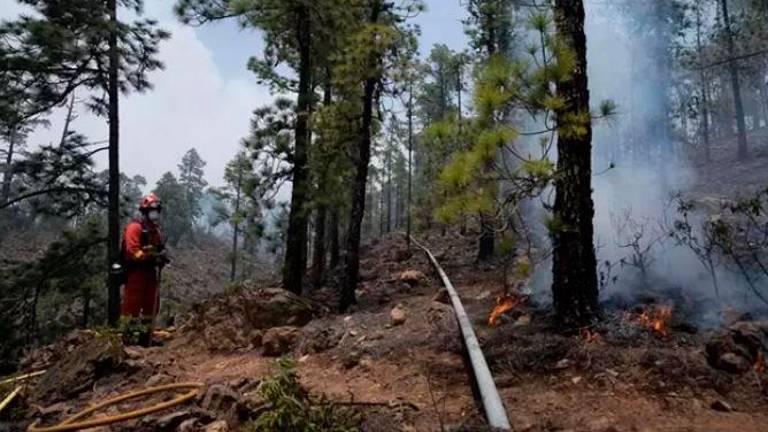 Estabilizado el incendio forestal de Arico en Tenerife Estabilizado el incendio forestal de Arico en Tenerife