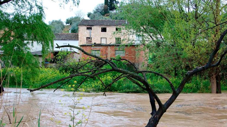 El Guadalquivir se desborda por el temporal en la provincia El Guadalquivir se desborda por el temporal en la provincia